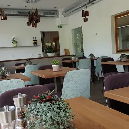 Sandner Linde Steinbach an der Steyr