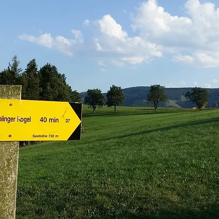 Sandner Linde Steinbach an der Steyr