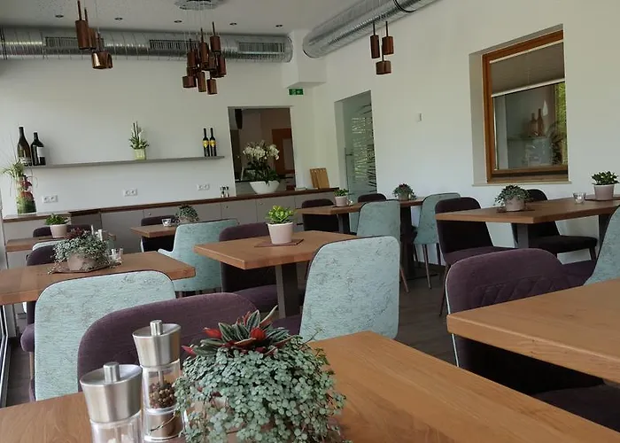 Sandner Linde Steinbach an der Steyr