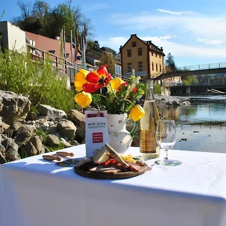 Sandner Linde Steinbach an der Steyr