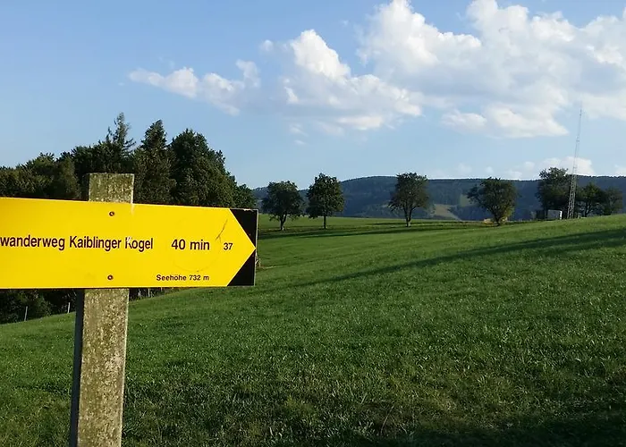 Sandner Linde Steinbach an der Steyr